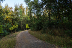 puneet-pal-rikhiy-travel-lifestyle-photographer-india-13