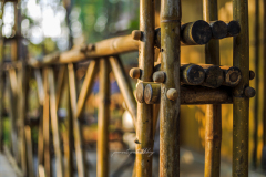 puneet-pal-rikhiy-travel-lifestyle-photographer-lonavala-india-6