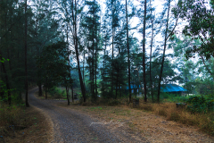 puneet-pal-rikhiy-travel-lifestyle-photographer-lonavala-india-8